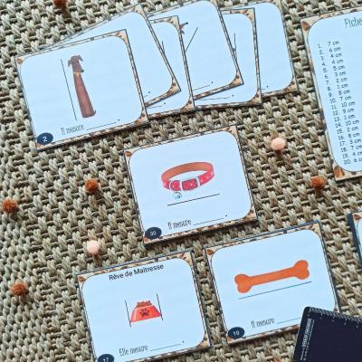 30 cartes pour apprendre à mesurer