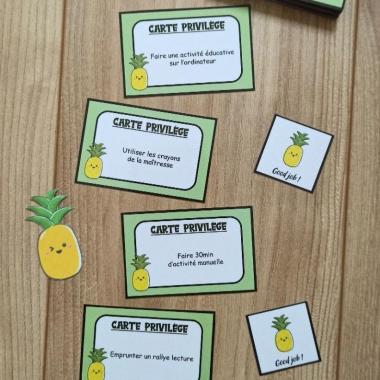 Les 100 cartes privilèges ananas